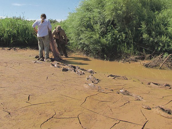 the-dirt-dry-river.jpg