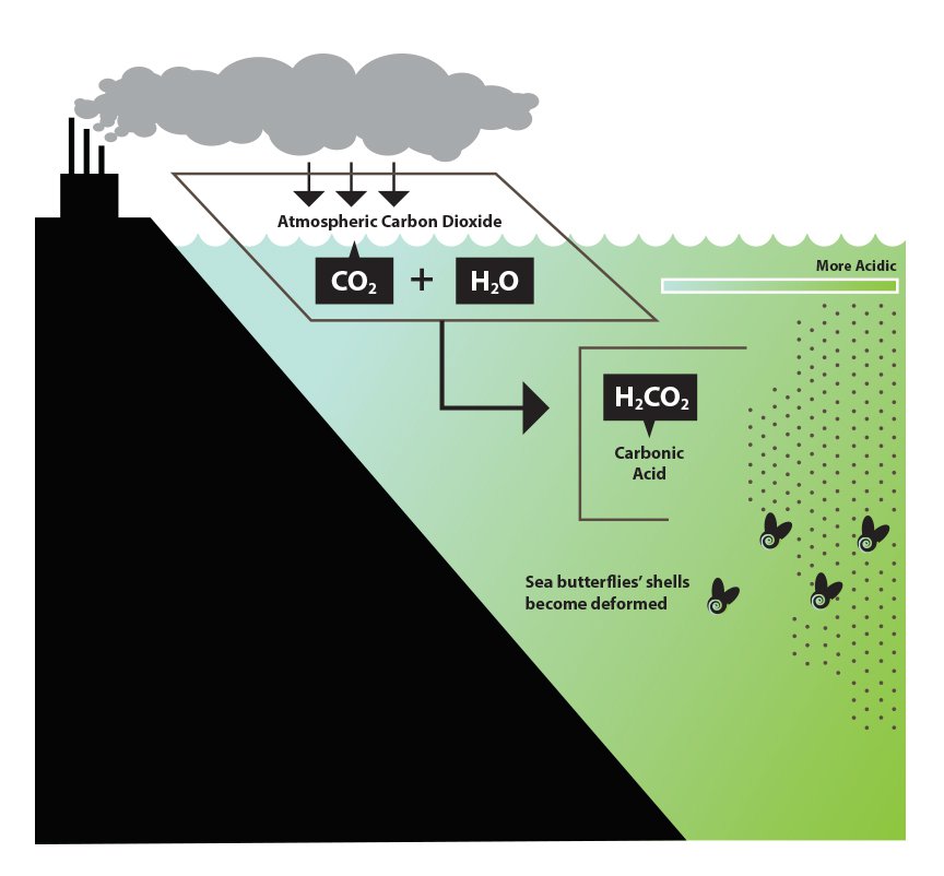 Cover-Graph1-Ocean-Acid.jpg