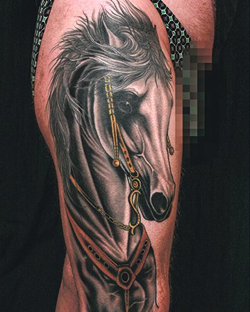 Cover-1-Mark-Vigil-horse-tattoo.jpg