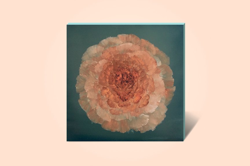 Music2-MAIN-Peony-I---Teal_Coral.jpg