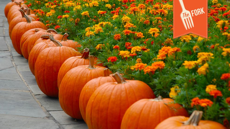 Road-Pumpkins_Fork-Header-16-9.jpg