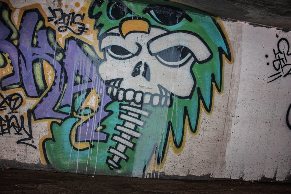 0-Skull-1024x683.jpg