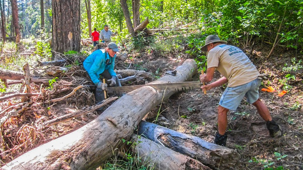 The-Enthusiast-Main-Clearing-Trail.jpg