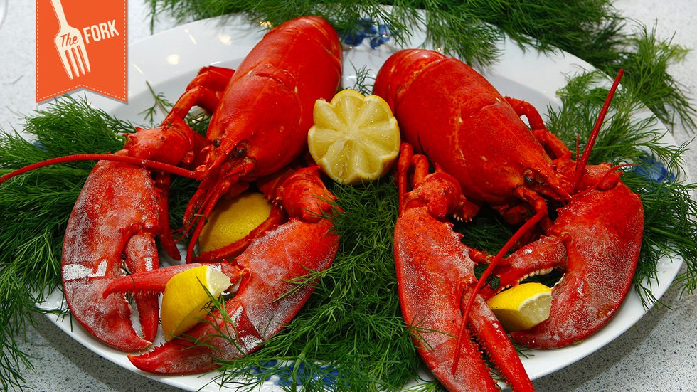 Lobster_Fork-Header-16-9.jpg