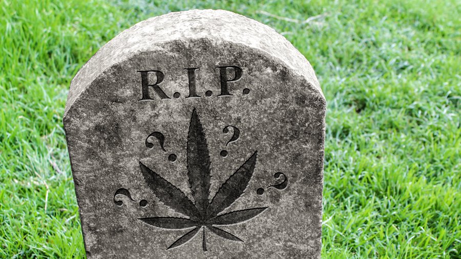 Marijuana-headstone.jpg