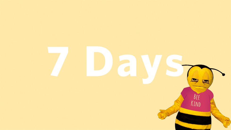 7Days-MAIN-Bee.jpg