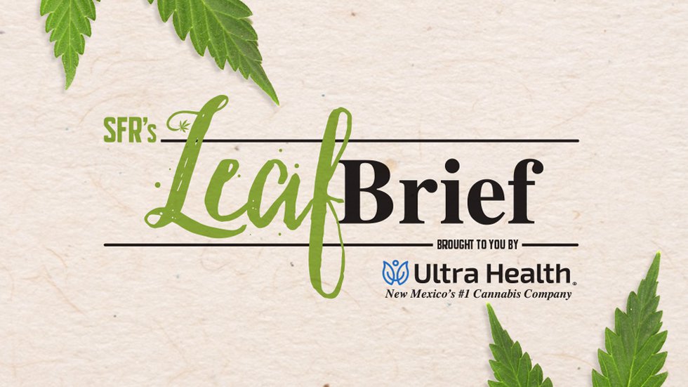 0-Leaf-Brief-web-logo.jpg