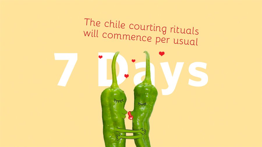 7Days-MAIN-Chile.jpg