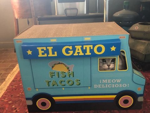 fork gato tacos