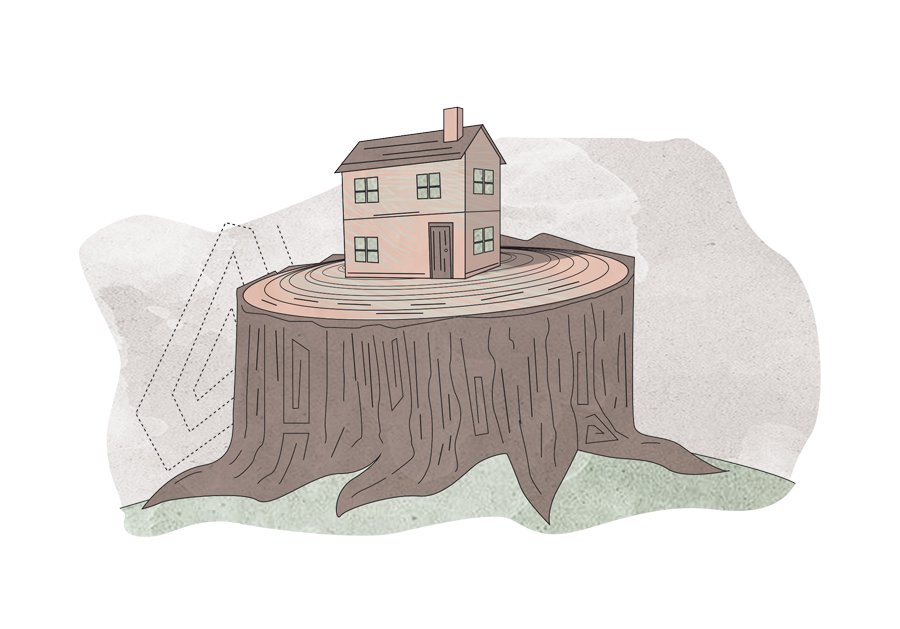 3-House-stump-ASB.jpg