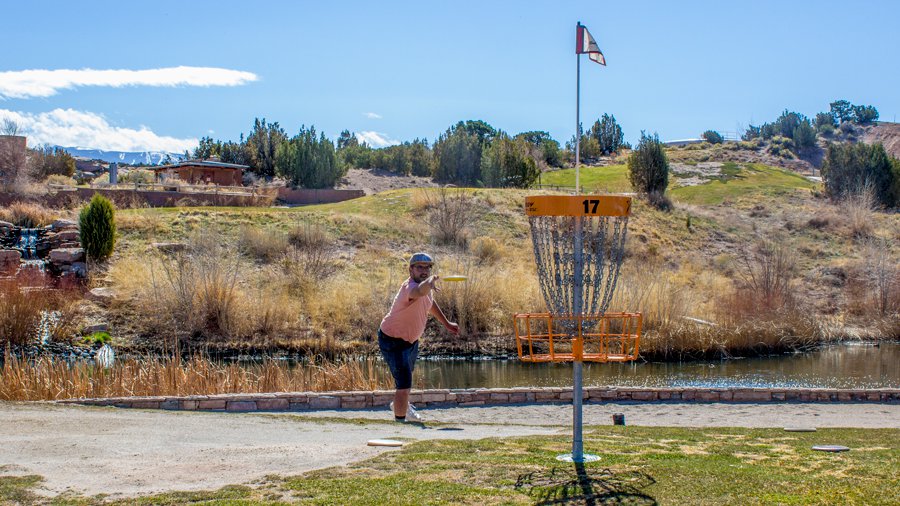 Pick2-disc-Golf2.jpg