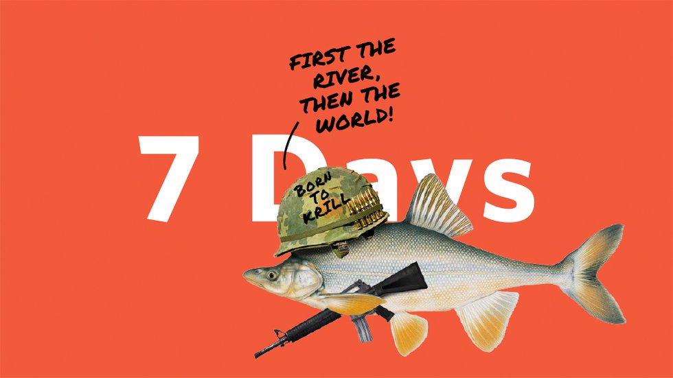 7Days-MAIN-fish.jpg