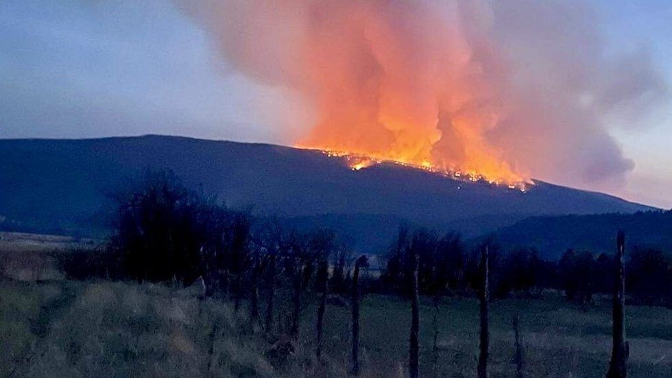 Calf Canyon Fire