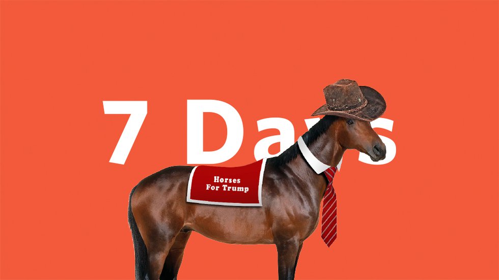 7Days-Trump-horse.jpg