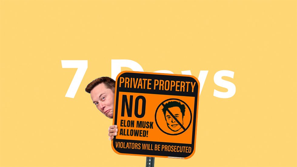 7Days-Musk.jpg