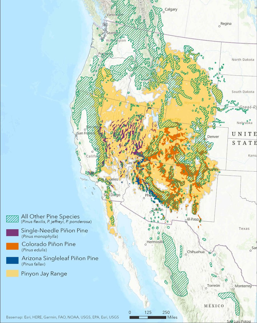 Cover-2--Pinyon-Range-Map-with-Credit.jpg