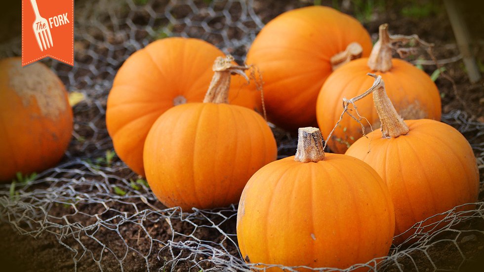 small-pumpkins_Fork-Header.jpg