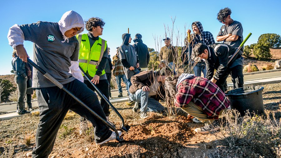 News2-MAIN-Tree-Planting-youth.jpg