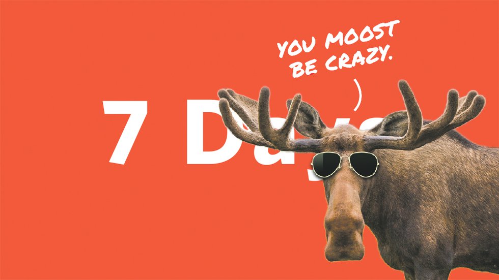 7Days-Moose.jpg