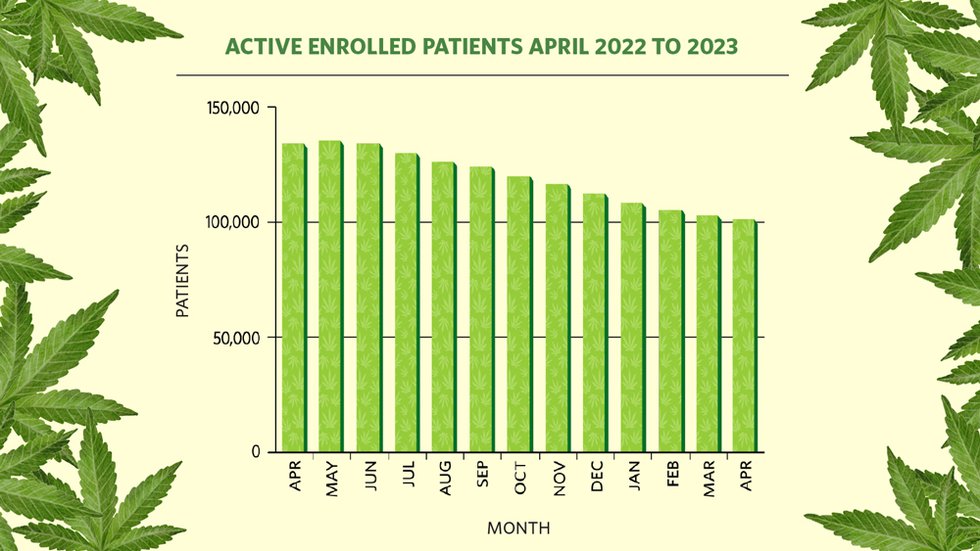 News1-MAIN-Cannabis-Patients-graph.jpg