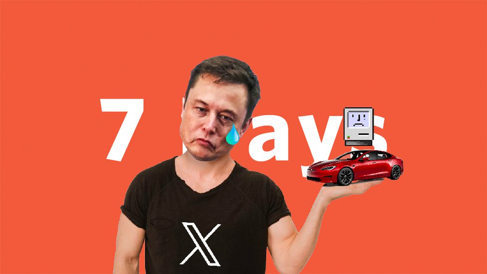 7Days-Elon.jpg