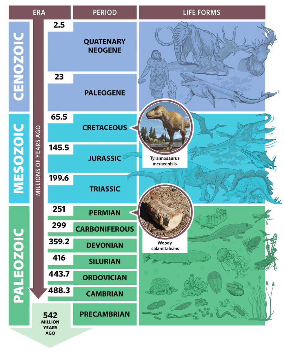 Cover-5-Timeline-Eras.jpg