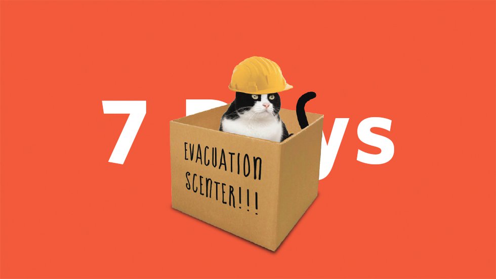 7Days-Evacuation-Cat.jpg