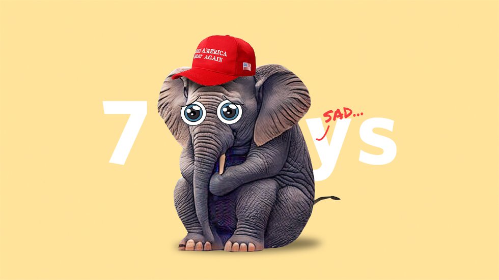 7Days-GOP.jpg