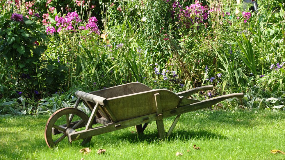 Pick3-wheelbarrow-1232408.jpg