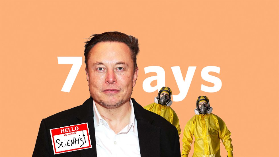 7Days-Elon.jpg