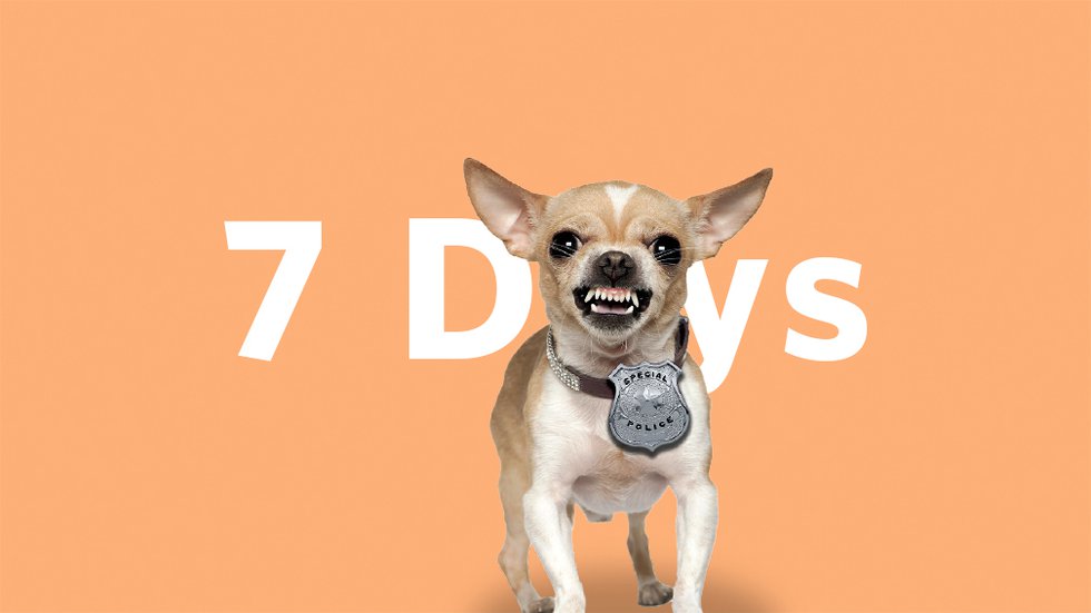 7Days-Police-Dog.jpg